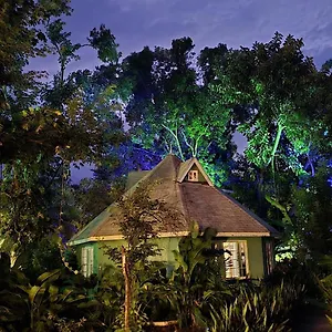 Alojamento de Turismo Selvagem Bak A Yaad, Negril